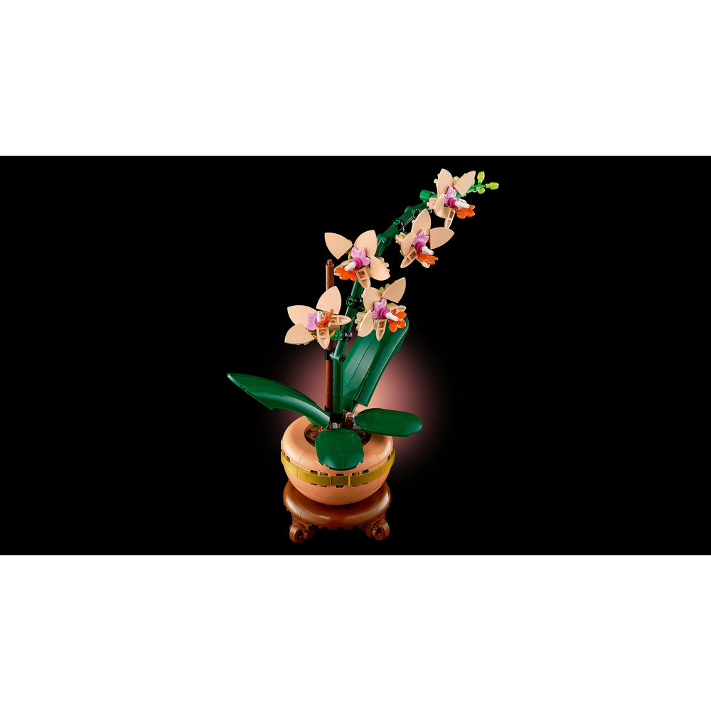 LEGO Botanicals Mini Orchid Plant Gift 10343 - Image 4