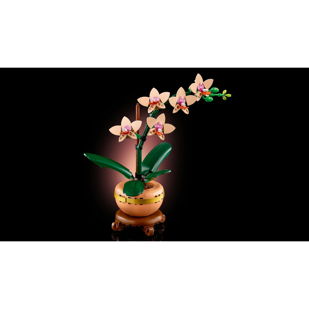 LEGO Botanicals Mini Orchid Plant Gift 10343 - Image 5