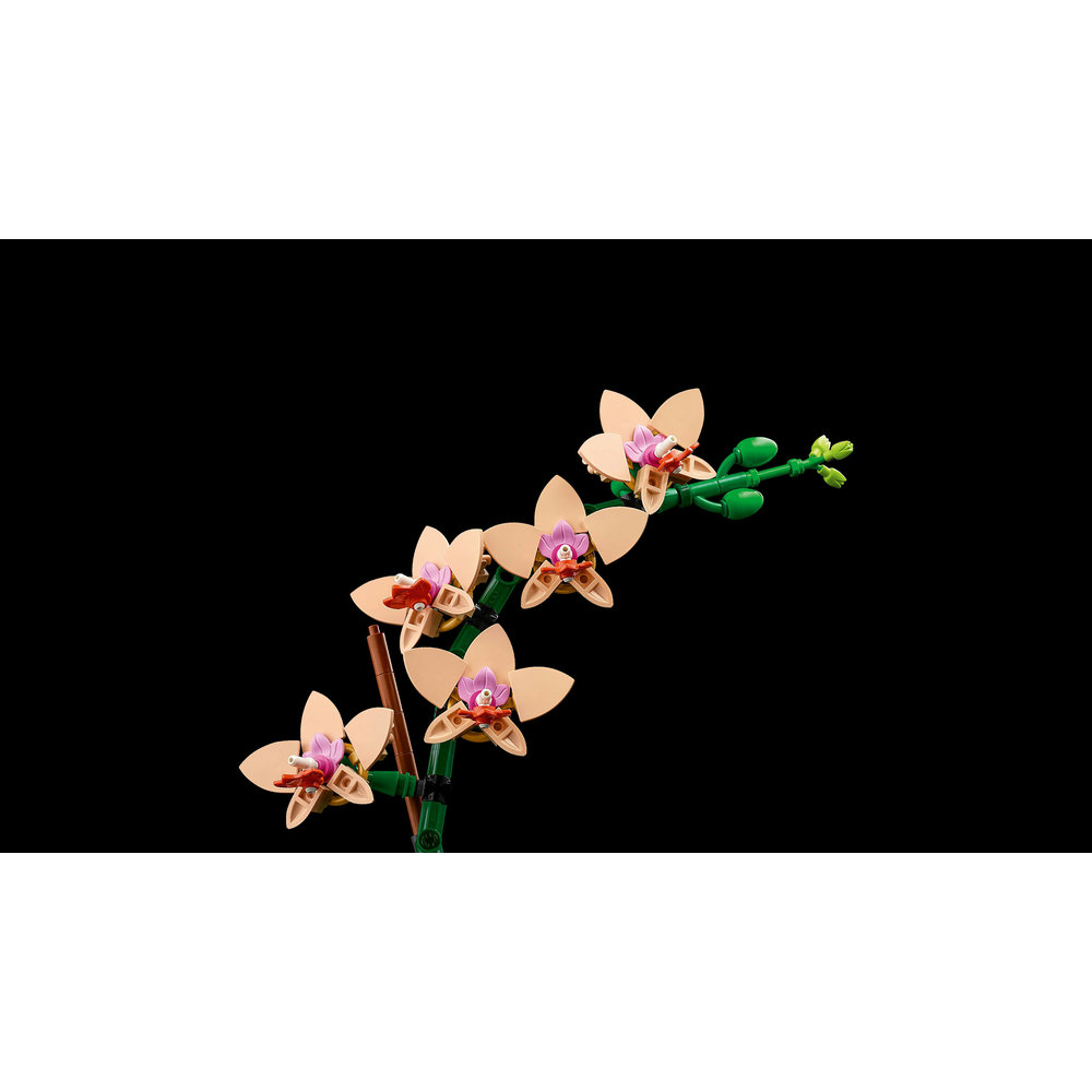 LEGO Botanicals Mini Orchid Plant Gift 10343 - Image 6