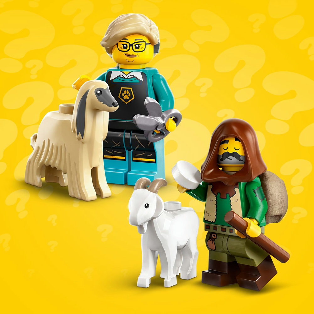 LEGO Minifigures Series 25 71045 - Complete Collection of 12 Different LEGO Minifigures Guaranteed – Supplied in Grip Seal Bags Without Boxes - Image 4